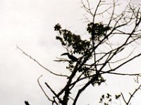 Foto 054